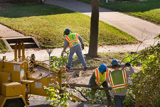 Lawn Watering Services in Martinsburg, PA